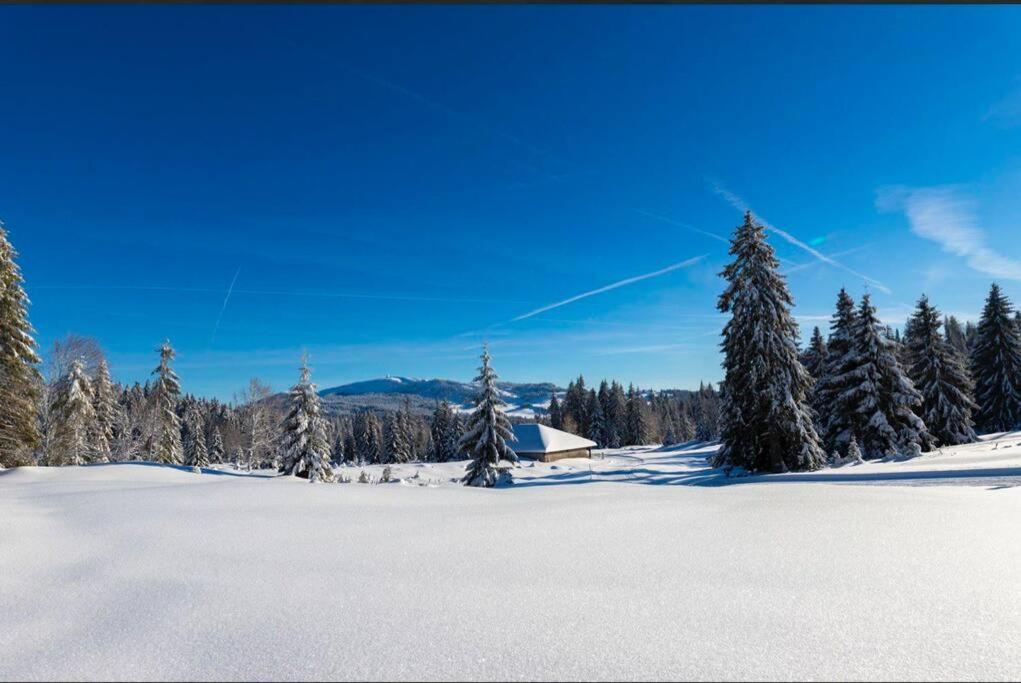 Chaleureux Studio Montagnard Avec Balcon 2303 Prémanon Dış mekan fotoğraf