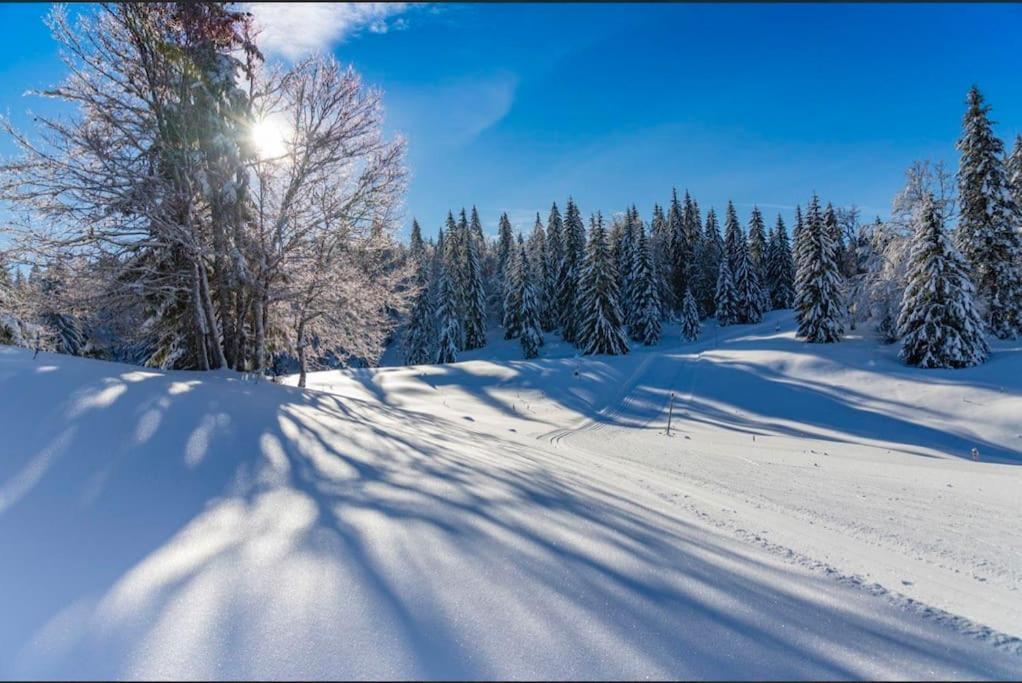 Chaleureux Studio Montagnard Avec Balcon 2303 Prémanon Dış mekan fotoğraf
